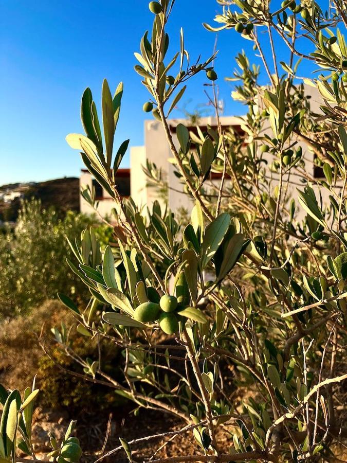 Litois Houses Patmos Sapsila Eksteriør billede